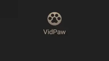 Screenshot von VidPaw App 3