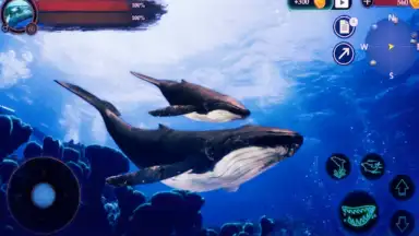 Screenshot von The Humpback Whales 18