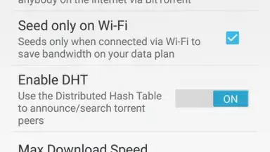 Screenshot von YouTorrents 5