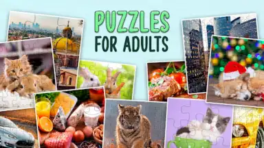Screenshot von Puzzles without Internet 9