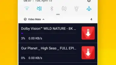 Screenshot von Vidora YouTube Downloader | free & fast 10