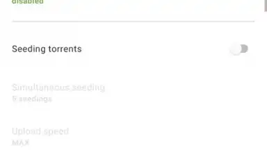 Screenshot von Advanced Download Manager 2