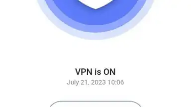 Screenshot von Veilduck VPN 1