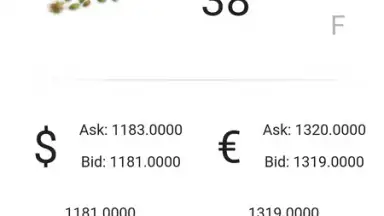Screenshot von B Browser 8