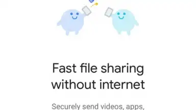 Screenshot von Files by Google 4