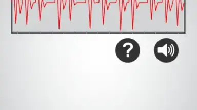 Screenshot von Monitor Heart Rate 1