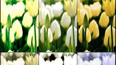 Screenshot von Mega Photo 7