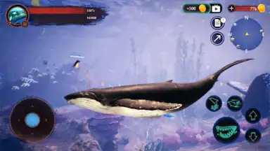 Screenshot von The Humpback Whales 13