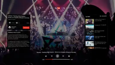 Screenshot von YouTube VR 1