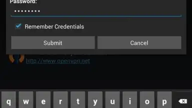 Screenshot von OpenVPN Connect 14