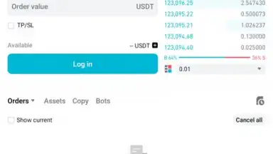 Screenshot von Bitget 28