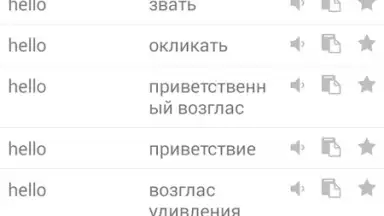 Screenshot von Russian Translator 5