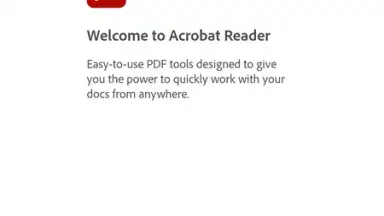 Screenshot von Adobe Acrobat Reader 10