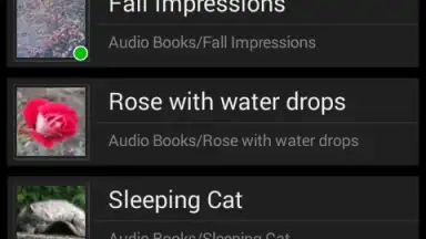 Screenshot von Music Folder Player Free 2