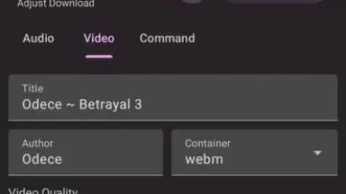 Screenshot von YTDLnis 4