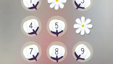Screenshot von PIP Lock Screen 23