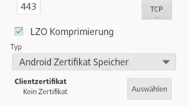 Screenshot von OpenVPN 7