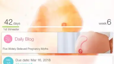Screenshot von Pregnancy + 17