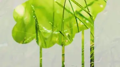 Screenshot von STEAMY живые обои 3