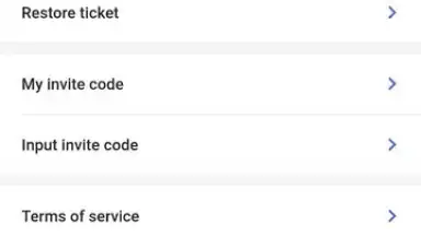Screenshot von Veilduck VPN 3
