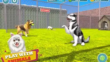 Screenshot von My Pet Animal Shelter World 4
