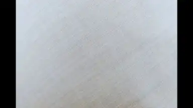 Screenshot von HedgeCam 2 7