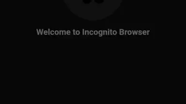 Screenshot von Private Browser 1