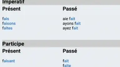 Screenshot von Le Conjugueur 6