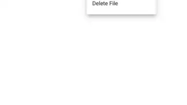 Screenshot von 4K Video Downloader 5