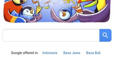 Screenshot von X Web Browser 2