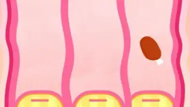 Screenshot von Baby Panda's Body Adventure 1
