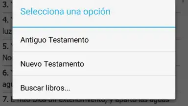 Screenshot von La Santa Biblia 3