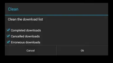 Screenshot von Download Manager 1