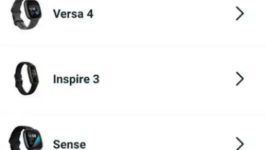 Screenshot von Fitbit 14