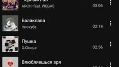 Screenshot von BiRD - Музыка из ВК 3