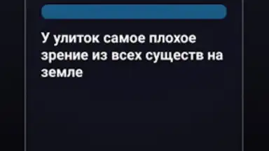 Screenshot von Правда или Ложь 14