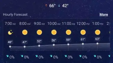 Screenshot von Local Weather Widget 12