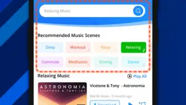 Screenshot von OKmusi - Any Music MP3 Downloader 5