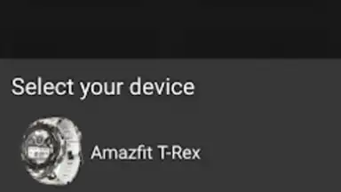 Screenshot von Amazfit T-Rex - Watch Face 6