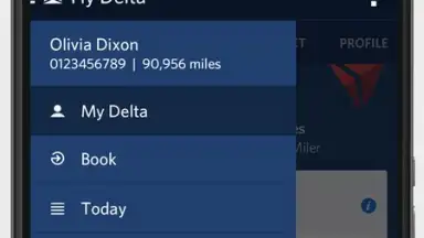 Screenshot von Fly Delta 8