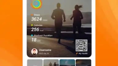 Screenshot von My Health 2