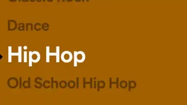 Screenshot von Spotify Stations 5