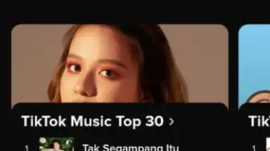 Screenshot von TikTok Music 9