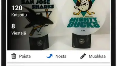 Screenshot von Tori.fi 8