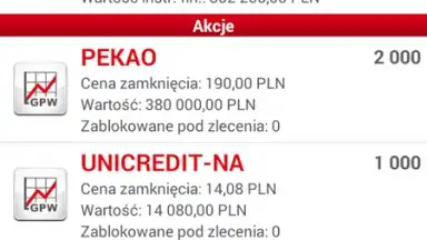 Screenshot von Bank Pekao 2