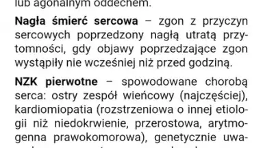 Screenshot von eMPendium 11