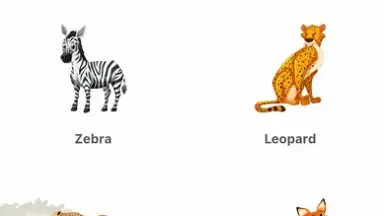 Screenshot von My Zoo 4