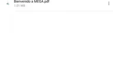 Screenshot von MEGA 5