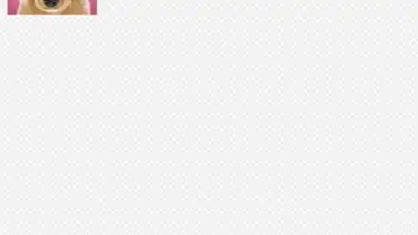 Screenshot von Buddiesbrowser 4