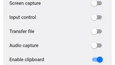 Screenshot von RustDesk 3